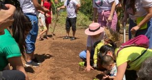 Festa da Primavera reúne moradores da Vila Mariana no Instituto Biológico