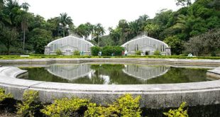 Jardim Botânico abriga nascente do riacho do Ipiranga