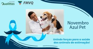 Novembro Azul Pet: unindo forças para a saúde dos animais