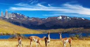 Descubra as maravilhas do Chile numa jornada inesquecível