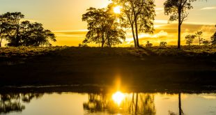 Explore o Brasil: destinos incríveis e acessíveis para suas próximas férias