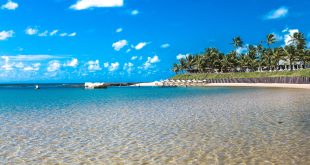 Descubra Porto de Galinhas: o paraíso pernambucano perfeito para as suas férias