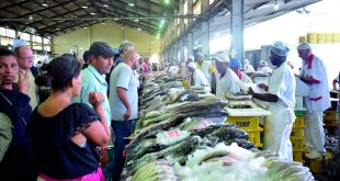 Ipem-SP orienta sobre a compra de pescados na Quaresma