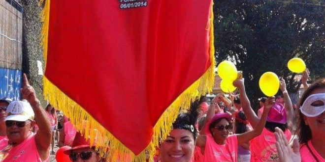 Bloco da Folia desfila na região do Sacomã