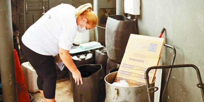 Crescem os casos de dengue em São Paulo