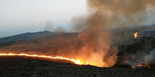 Soltura de balões é responsável por grandes incêndios