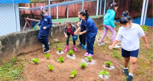 Horta em escola da Vila Moraes é referência