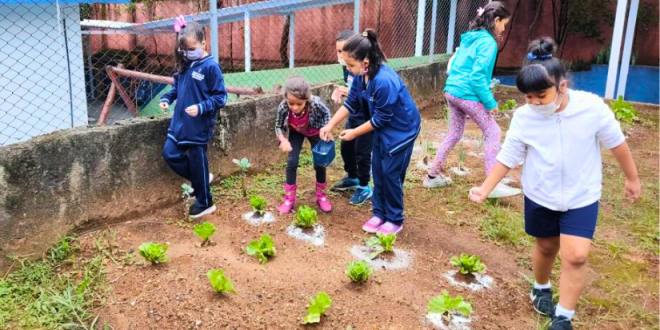 Horta em escola da Vila Moraes é referência