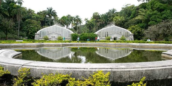 Jardim Botânico abriga nascente do riacho do Ipiranga