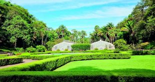 Agora o Jardim Botânico abrirá todos os dias