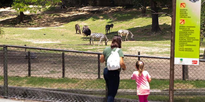 No mês de maio, mães têm entrada gratuita no Zoo São Paulo