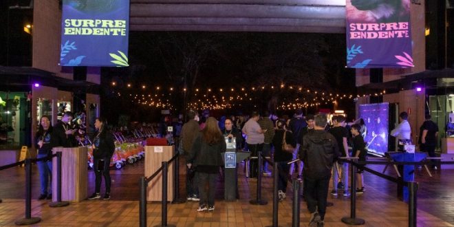 Noite Animal tem família de leões e outras atrações no Zoológico de São Paulo