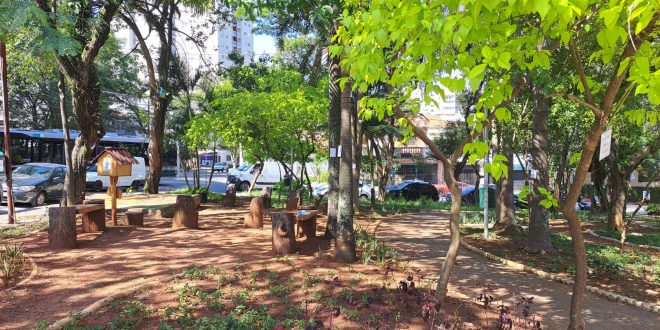 Praça na Vila Mariana incentiva a leitura e ensina sobre árvores