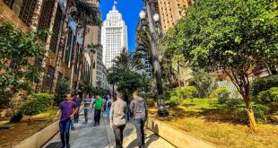 São Paulo é sede mundial para discutor meio ambiente