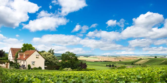 Explorando a Região de Champagne: cultura, história e belas vinícolas