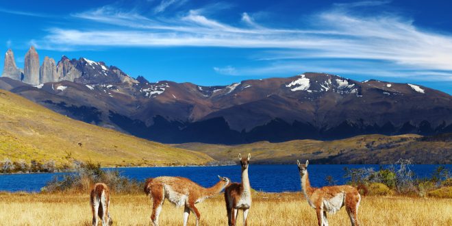 Descubra as maravilhas do Chile numa jornada inesquecível