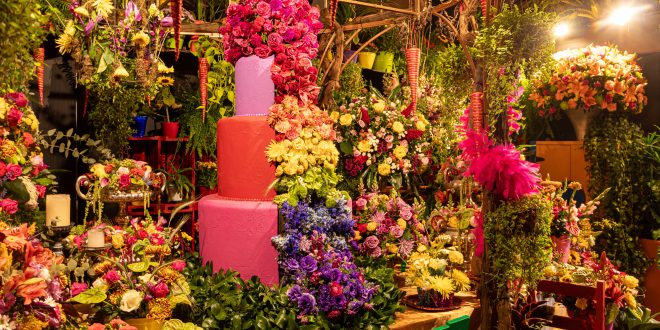 Expoflora 2024: Um espetáculo de cores e tradições holandesas em Holambra