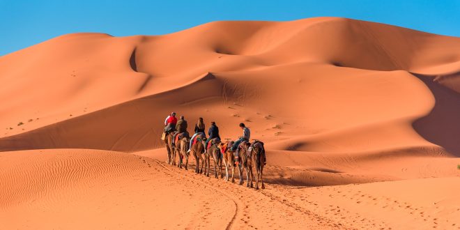 Viagens ecológicas ao redor do mundo