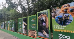 Zoológico de São Paulo melhora compra de ingresso