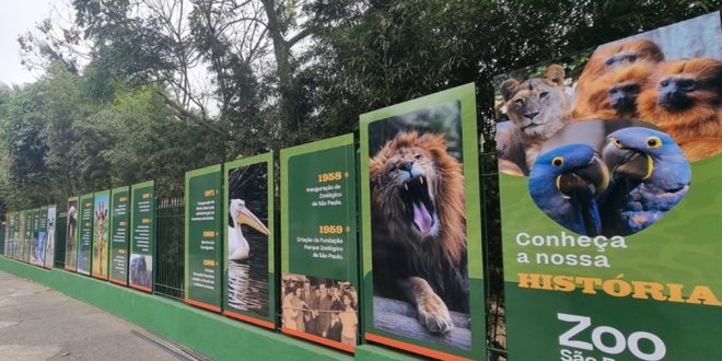 Zoológico de São Paulo melhora compra de ingresso