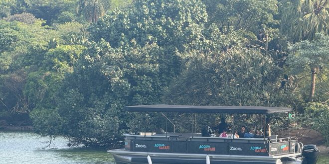 Zoológico inaugura Acqua Safári: passeio de barco pelo Lago São Francisco